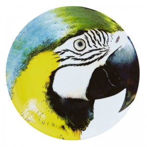 Vista Alegre Olhar O Brasil 12.88" Bellied Macaw Charger VSAL1452